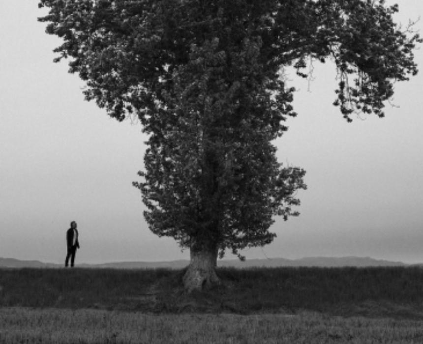 Rèmora:“Gènesi i Èxode de les ombres” Rèmora:“Gènesi i Èxode de les ombres”