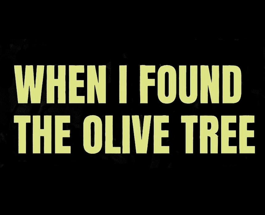When I Found The Olive Tree When I Found The Olive Tree